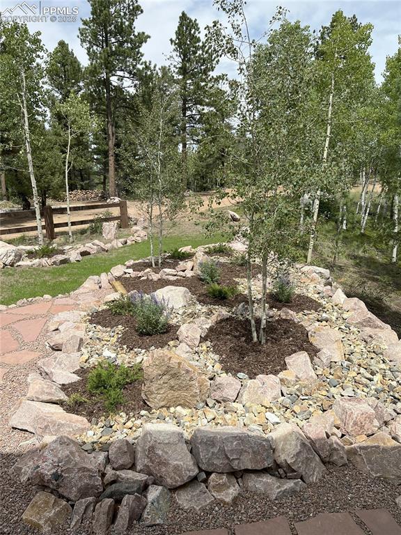 4261 County Road 51, Divide, CO 80814