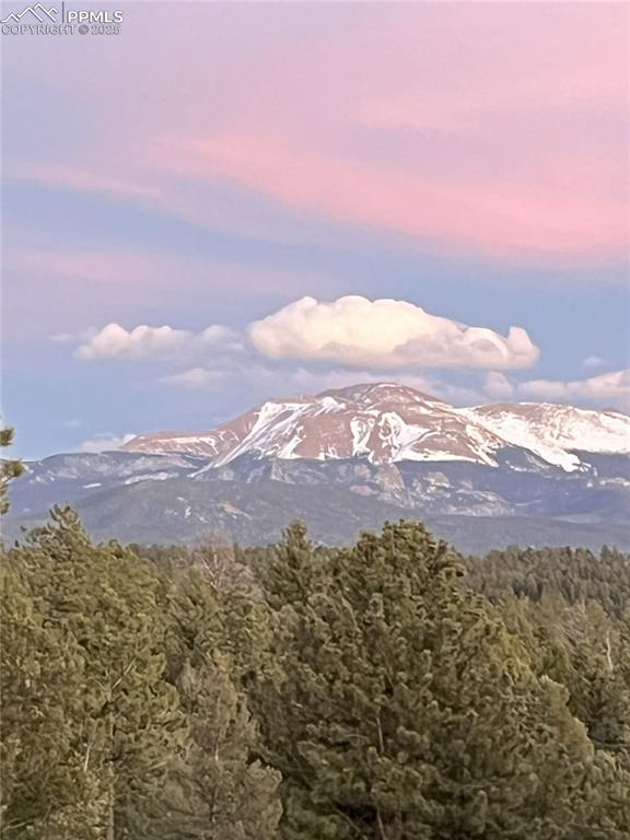 4261 County Road 51, Divide, CO 80814