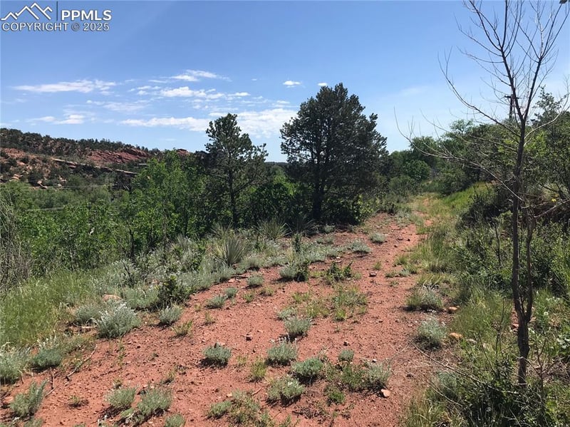 427 Bond St, Manitou Springs, CO 80829