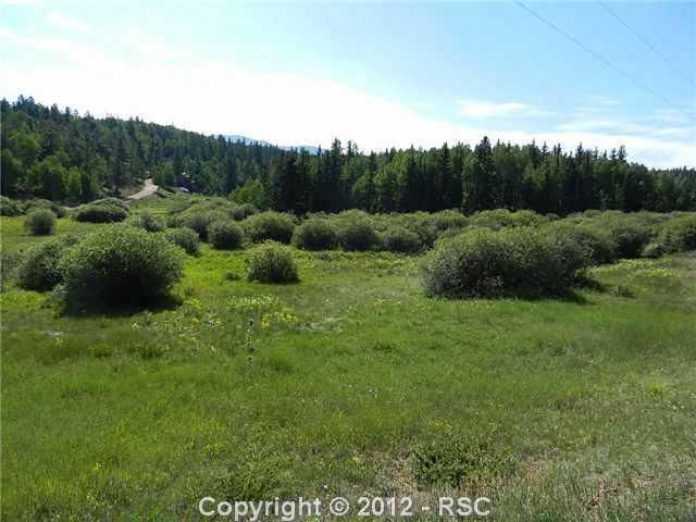 427 S Divide South Rd, Divide, CO 80814