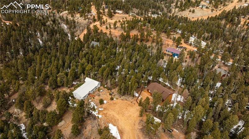 43 Dusti Cir, Florissant, CO 80816