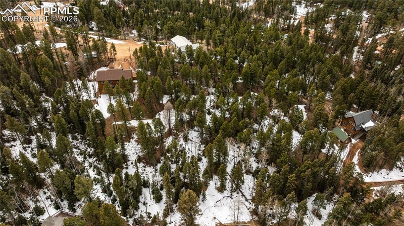 43 Dusti Cir, Florissant, CO 80816