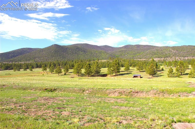 43 Stoll Cir, Lake George, CO 80827