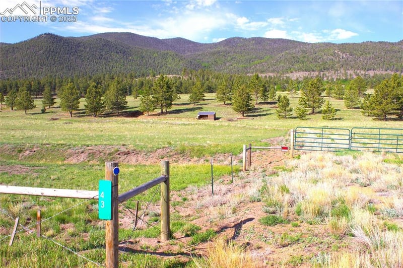 43 Stoll Cir, Lake George, CO 80827