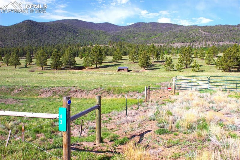 43 Stoll Cir, Lake George, CO 80827