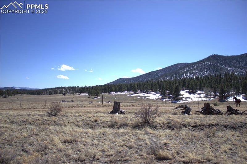 43 Stoll Cir, Lake George, CO 80827