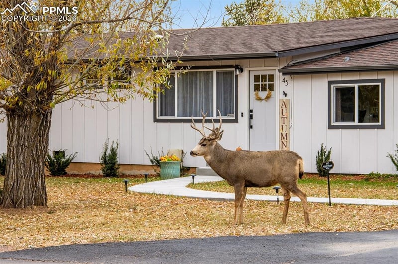 43 S Valley Rd, Palmer Lake, CO 80133