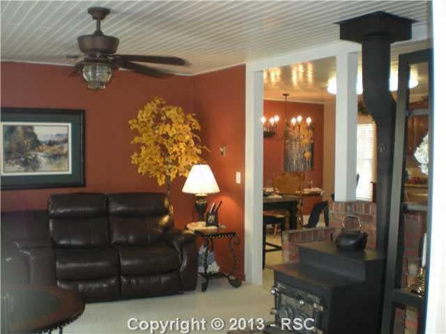 430 Shady Ln, Woodland Park, CO 80866