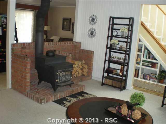 430 Shady Ln, Woodland Park, CO 80866