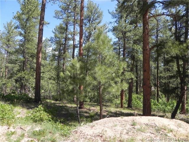 4303 Elati Rd, Larkspur, CO 80118