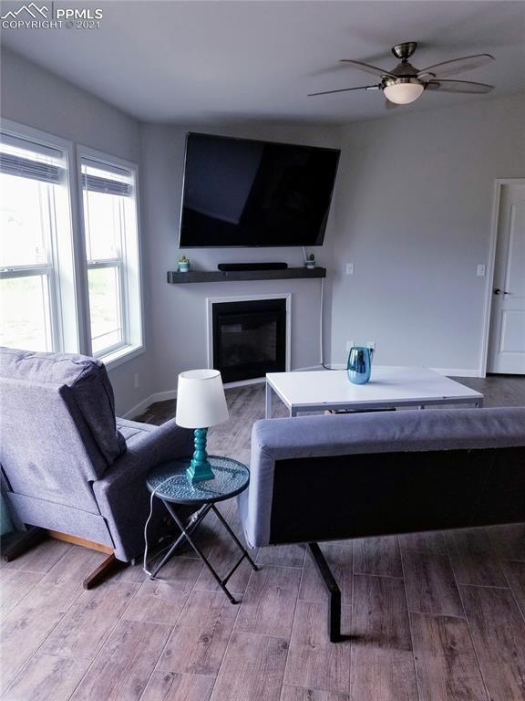 432 Doublet Ln, Divide, CO 80814