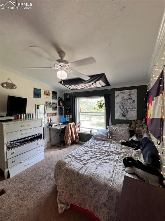 434 Blue Mountain Dr, Florissant, CO 80816