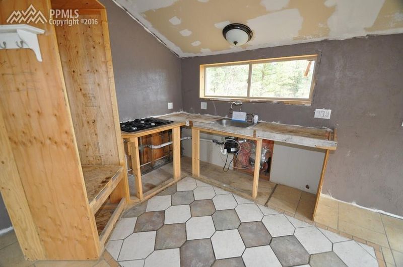 44 Cheesman Lake Cir, Divide, CO 80814