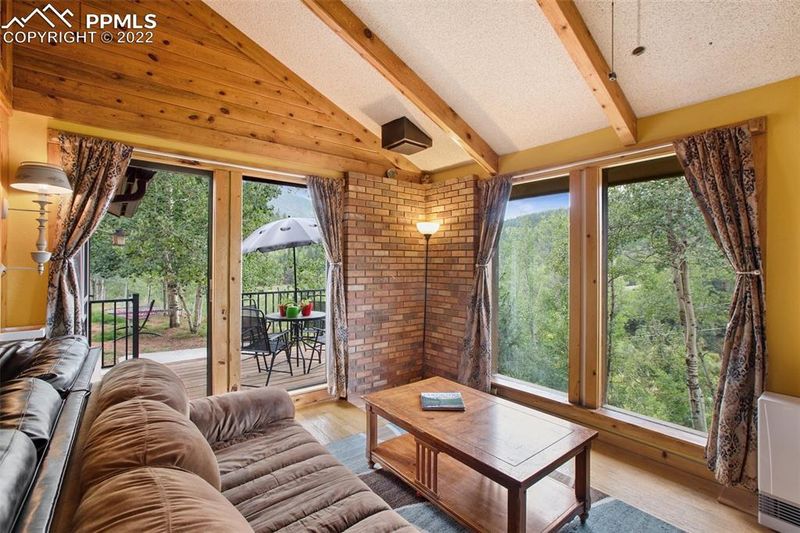440 Beaver Pond Rd, Divide, CO 80814