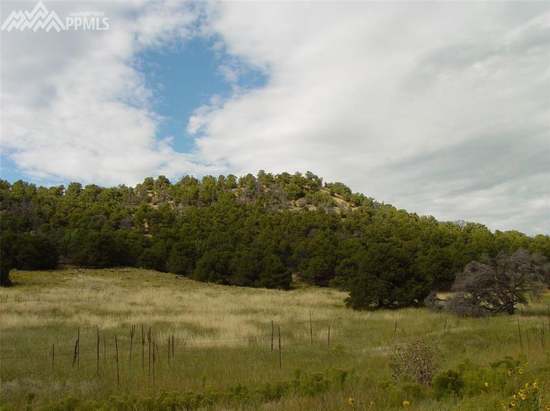 4400 Greenwood Rd, Sedalia, CO 80135