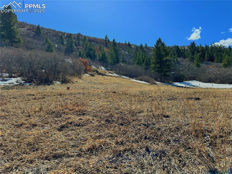 4405 Diamondback Dr, Colorado Springs, CO 80921