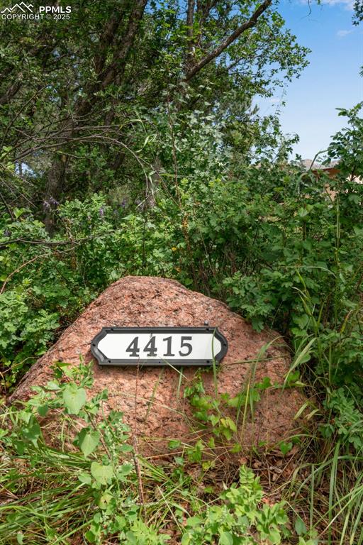 4415 Heizer St, Cascade, CO 80809