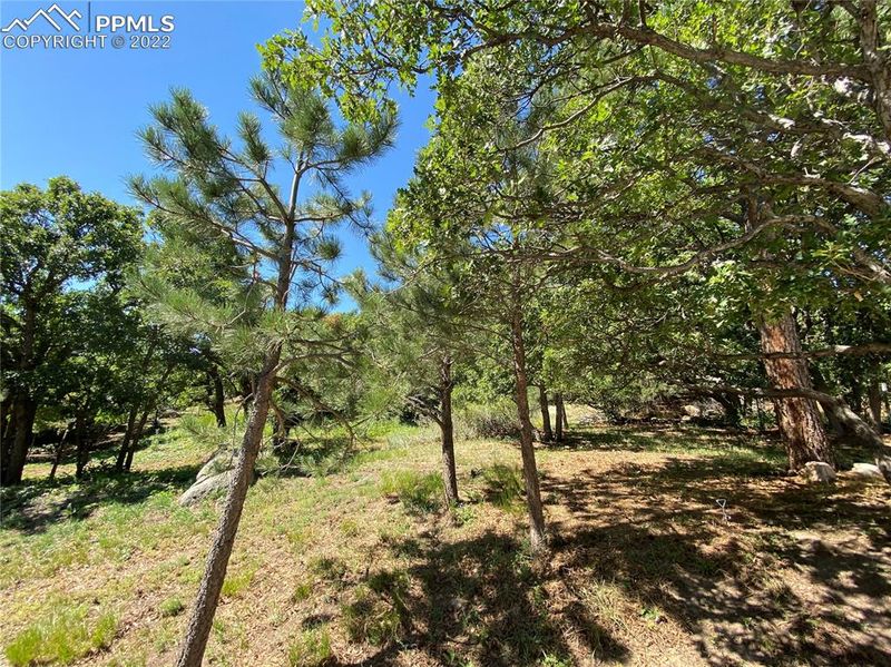 4430 Gloucester Ct, Colorado Springs, CO 80906
