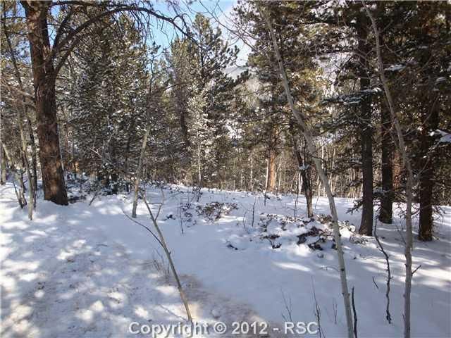 444 Timber Ridge Rd, Divide, CO 80814