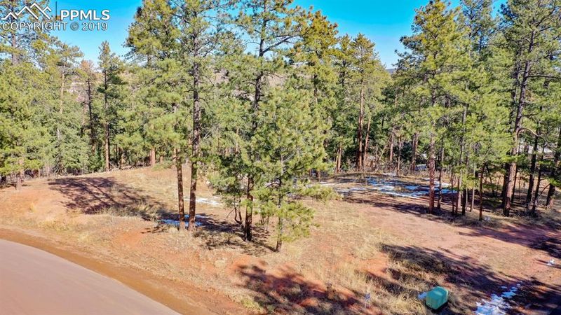 4459 Shoshone Dr, Larkspur, CO 80118