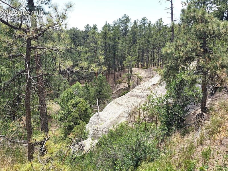 4465 Leprechaun Ln, Colorado Springs, CO 80908