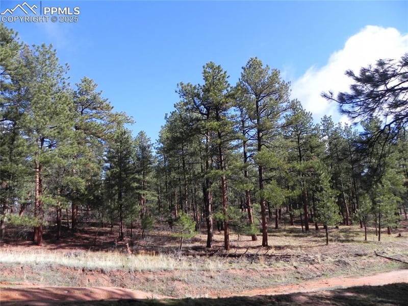 4467 Delaware Dr, Larkspur, CO 80118