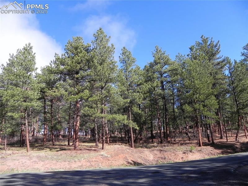4467 Delaware Dr, Larkspur, CO 80118