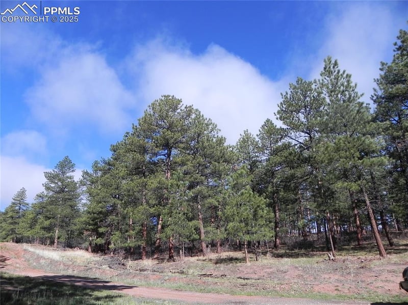 4467 Delaware Dr, Larkspur, CO 80118
