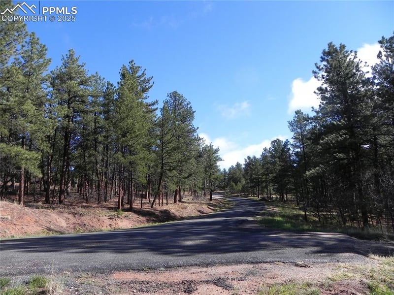 4467 Delaware Dr, Larkspur, CO 80118