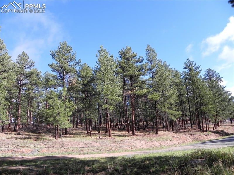 4467 Delaware Dr, Larkspur, CO 80118