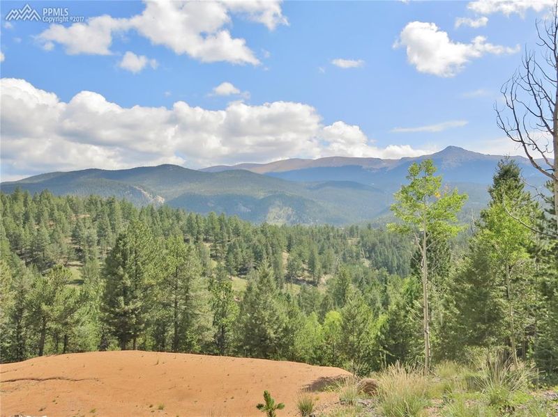 448 Woodrock Way, Divide, CO 80814