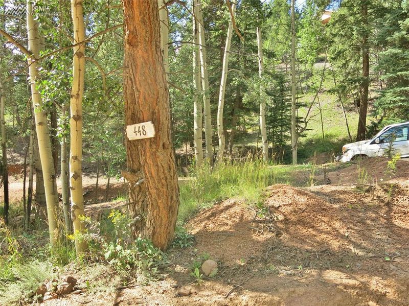 448 Woodrock Way, Divide, CO 80814