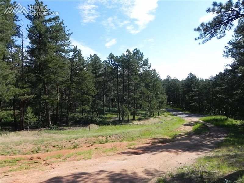 4485 Delaware Dr, Larkspur, CO 80118