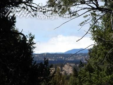45 Mica Rd, Divide, CO 80814