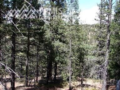 45 Mica Rd, Divide, CO 80814