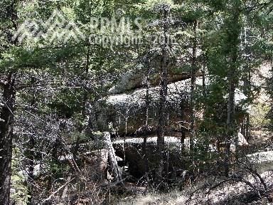 45 Mica Rd, Divide, CO 80814