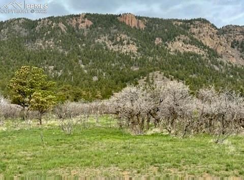 4505 Turner Rd, Monument, CO 80132