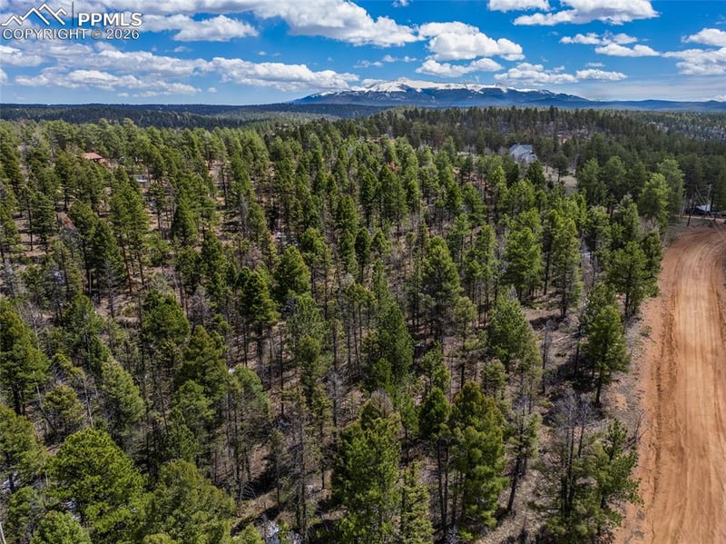 451 Chipeta Creek Trl, Florissant, CO 80816