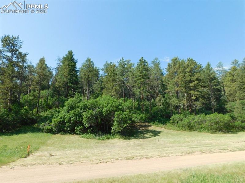 4518 Comanche Dr, Larkspur, CO 80118