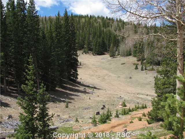 453 Forest Service 383 Rd, Divide, CO 80814