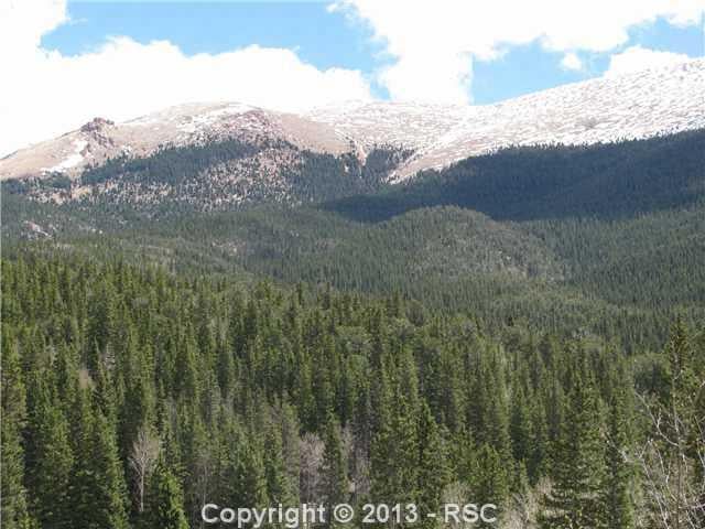 453 Forest Service 383 Rd, Divide, CO 80814