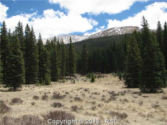 453 Forest Service 383 Rd, Divide, CO 80814