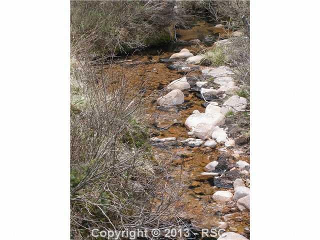 453 Forest Service 383 Rd, Divide, CO 80814