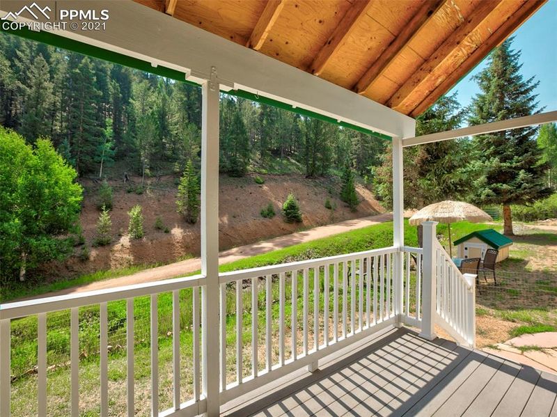 453 Willow Rd, Divide, CO 80814