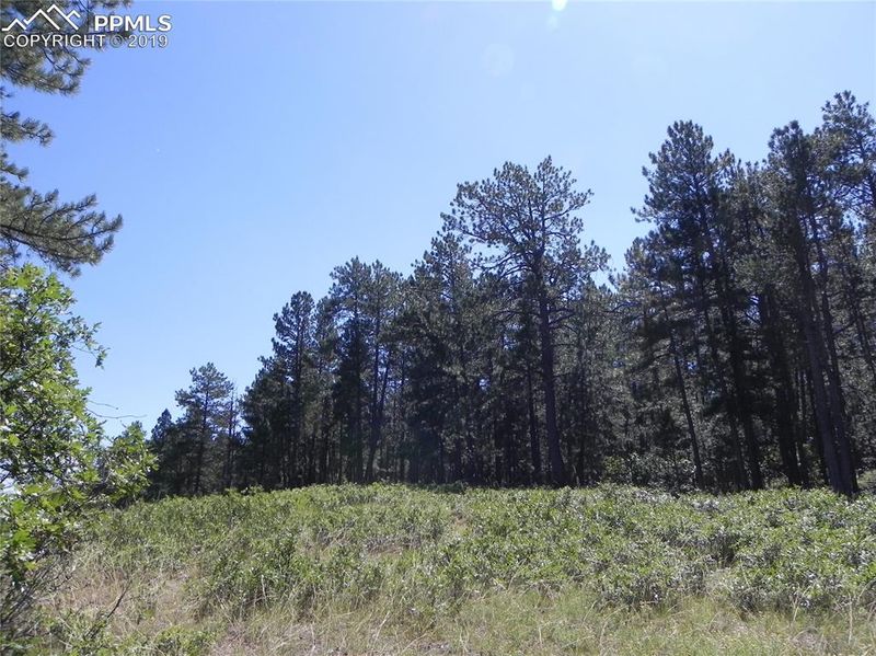 4536 Cheyenne Dr, Larkspur, CO 80118