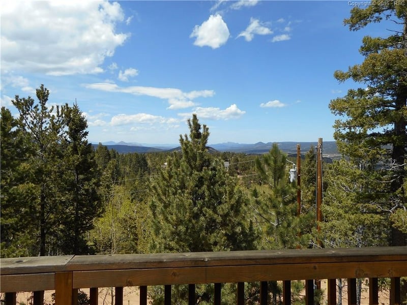 454 Wakanda Trl, Woodland Park, CO 80866