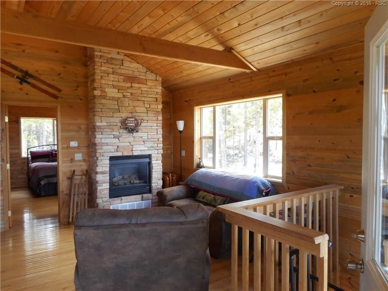 454 Wakanda Trl, Woodland Park, CO 80866