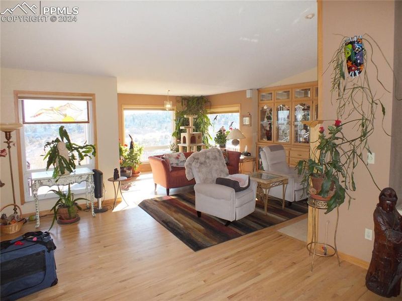457 Crystal Hills Blvd, Manitou Springs, CO 80829