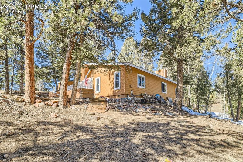 46 Barr Lake Cir, Divide, CO 80814