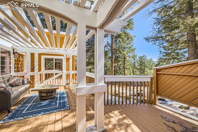 46 Barr Lake Cir, Divide, CO 80814